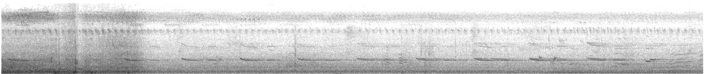 African Gray Hornbill - ML480352491