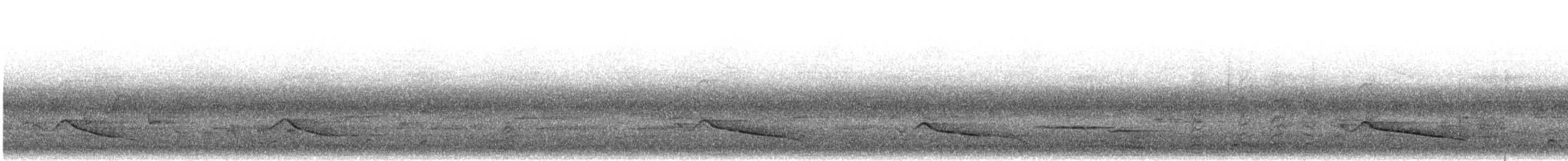 aviceda hnědá - ML480365291