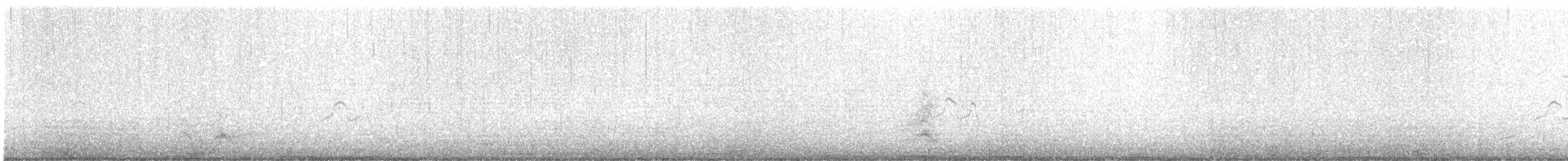 裏海燕鷗 - ML480375431