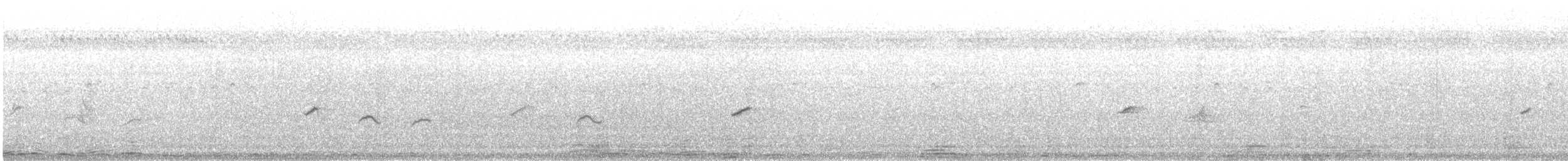 strdimil zářivý (ssp. hellmayri/kinneari) - ML480413891