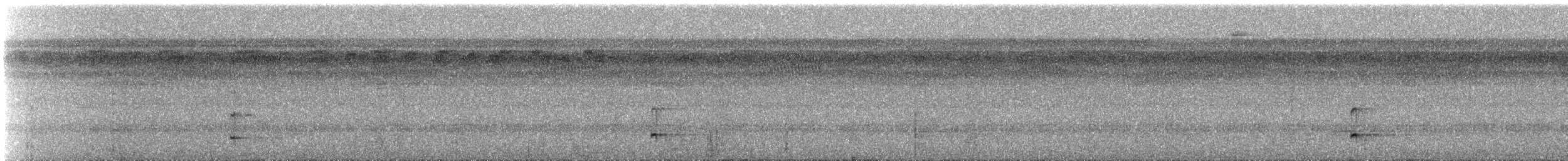 Todirostre de Josephine - ML480435521