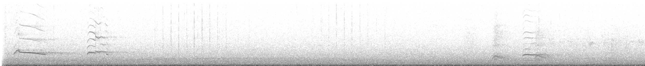 Набережник плямистий - ML480479531
