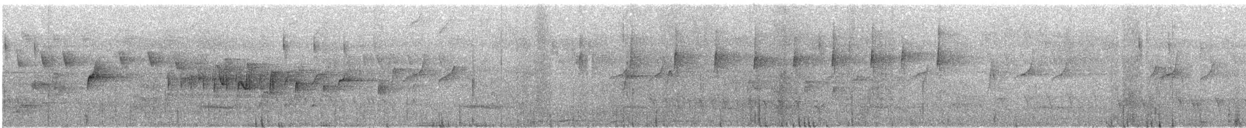 Salvadori's Antwren - ML480513911