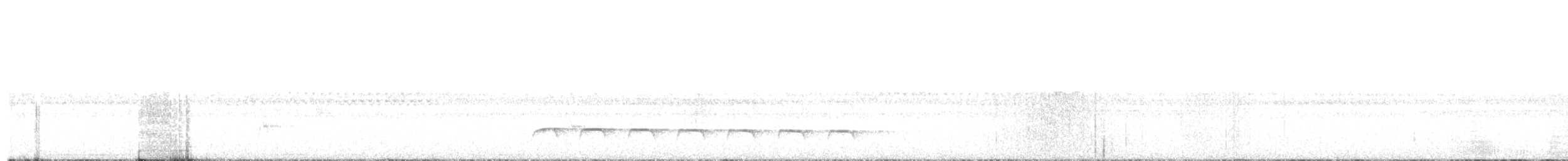 Weißbinden-Ameisenvogel - ML480526301