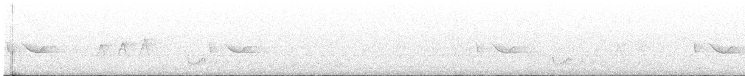Spot-tailed Nightjar - ML480528201