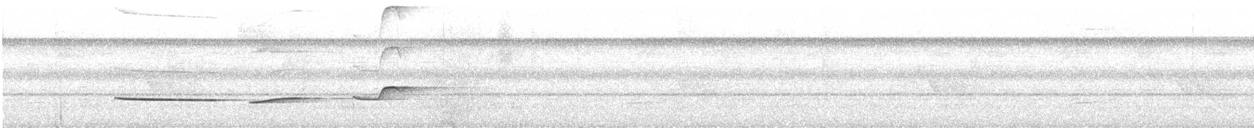 ツグミマイコドリ（amazonum） - ML480529341
