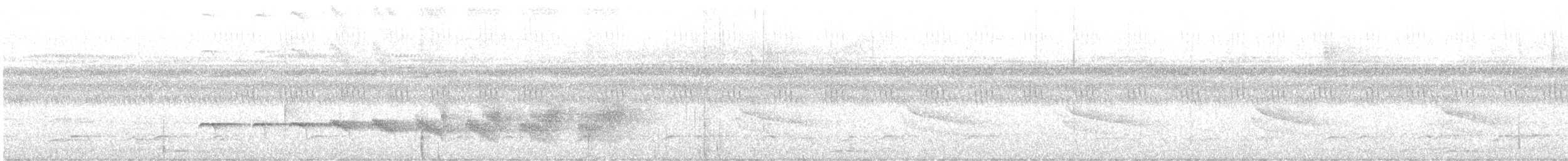 Imeri Karıncakuşu - ML480529371