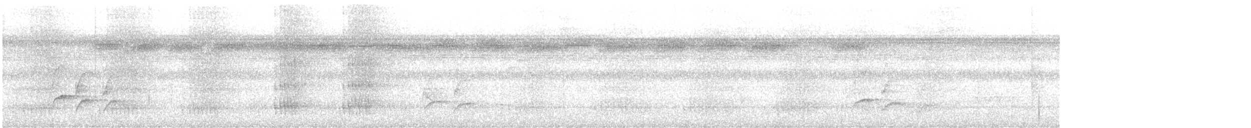 Strichelschulter-Ameisenschnäpper - ML480529641