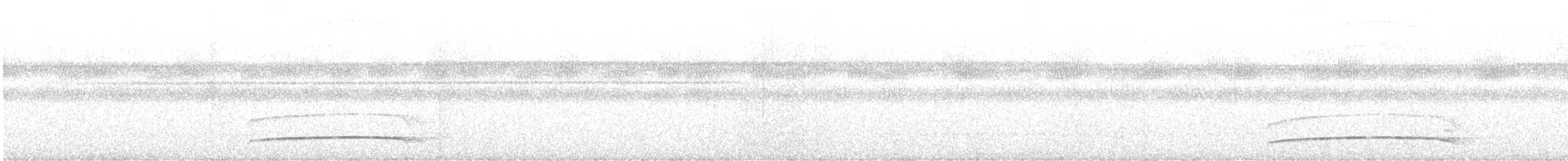 Тиран-плоскодзьоб рудохвостий - ML480530751