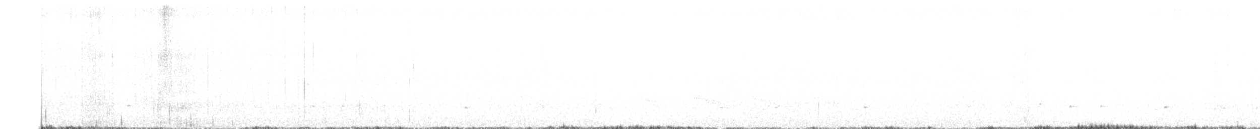 Scytalopus, unbestimmt - ML480646931
