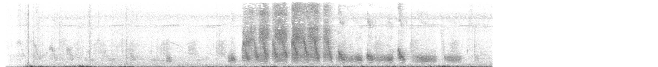Troglodyte du Yucatan - ML480662141
