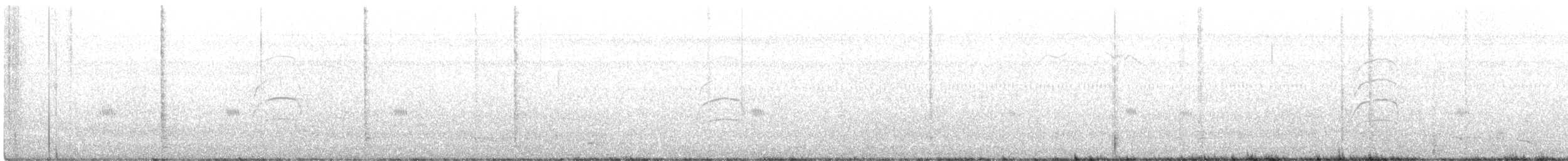 Büyük Kiskadi Tiranı - ML480735061