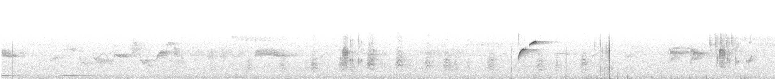 Batı Amerika Sinekkapanı (occidentalis/hellmayri) - ML480770141