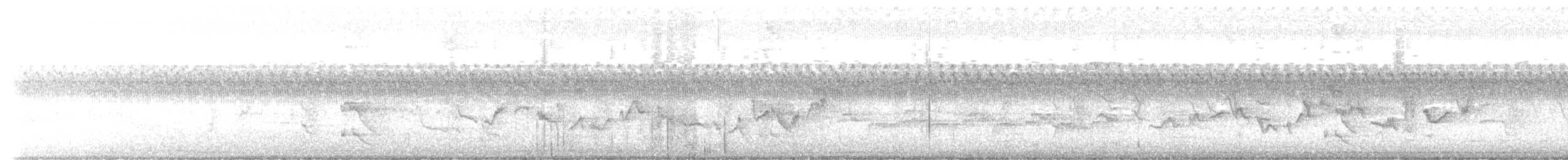 Eastern Warbling Vireo - ML480782531