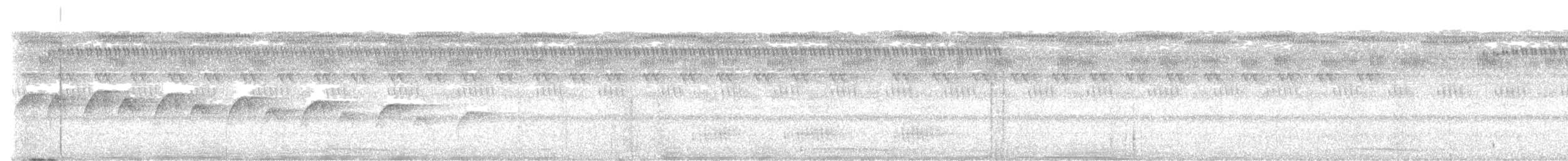 Мурав’янка-куцохвіст гвіанська - ML480794201