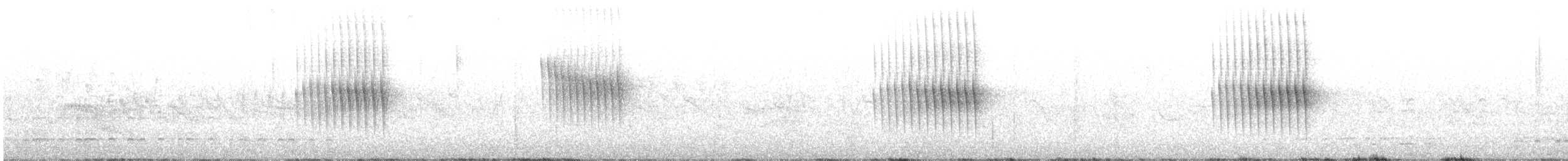 Stachelschwanzschlüpfer - ML480880211