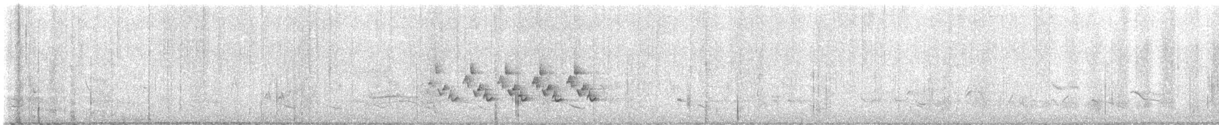 Поплітник каролінський - ML480896771