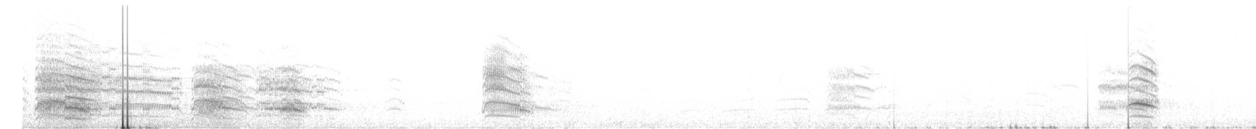 Kahverengi Başlı Martı - ML480929371