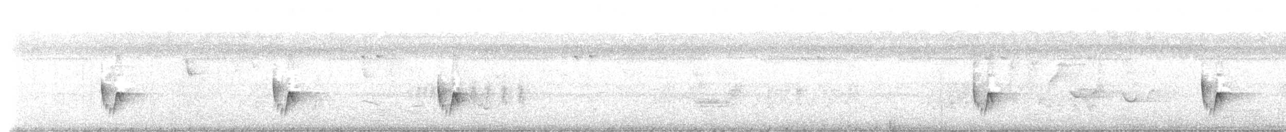 Grauschneidervogel - ML481016511