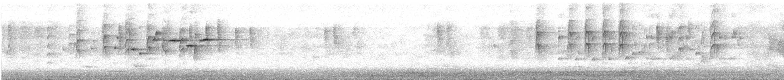 Gray Fantail (alisteri) - ML481020901