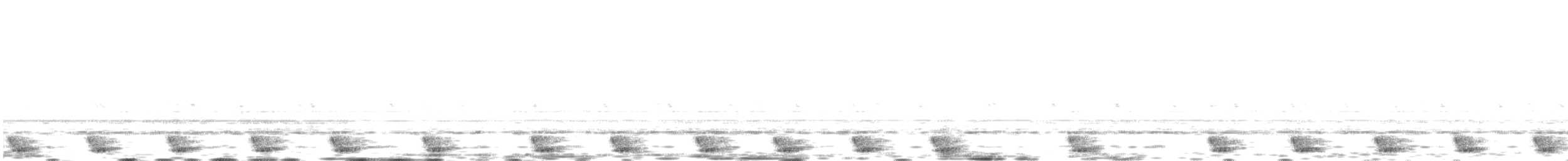 Large-tailed Nightjar - ML481065471