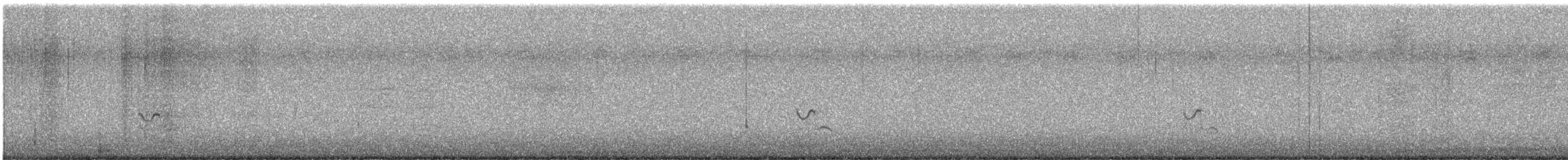 Amerika Altın Yağmurcunu - ML481208821