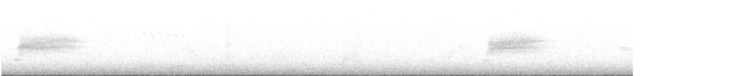 Тауї плямистий - ML481225551