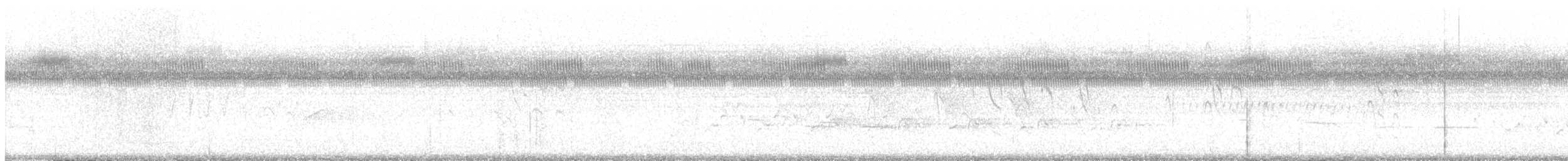 Поплітник каролінський - ML481239741
