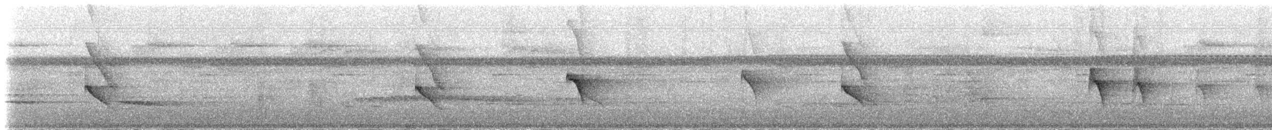 Tropfenflügel-Ameisenfänger [boucardi-Gruppe] - ML48124191