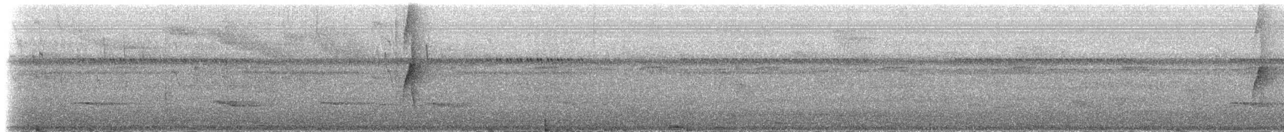 Uzun Gagalı Hermit [longirostris grubu] - ML48124411