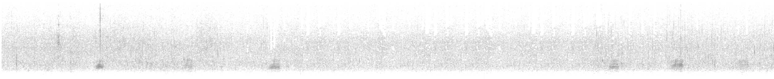 American Black Duck - ML481249631