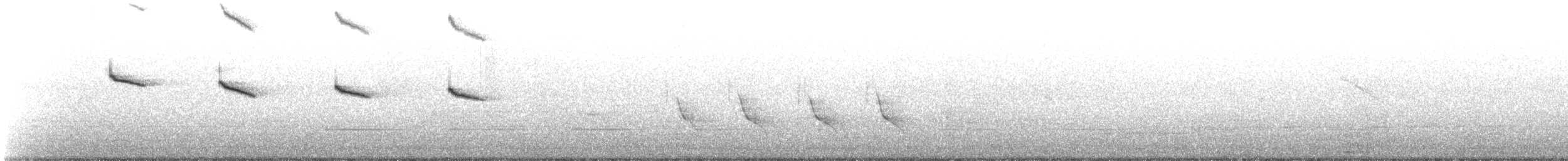kolibřík Amazilin (ssp. amazilia) - ML481252071