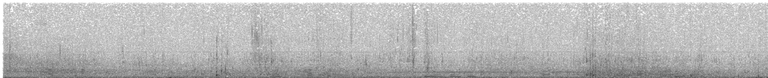 Черноклювая гагара - ML48130351