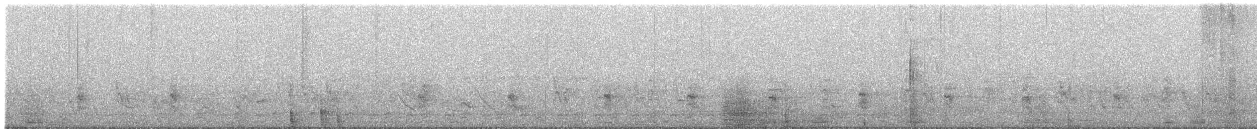 Ak Kaşlı Dokumacı (pectoralis) - ML481317741