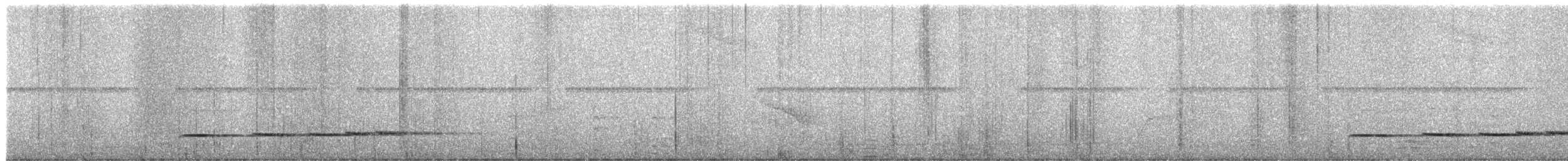 Pheasant Cuckoo - ML481317751