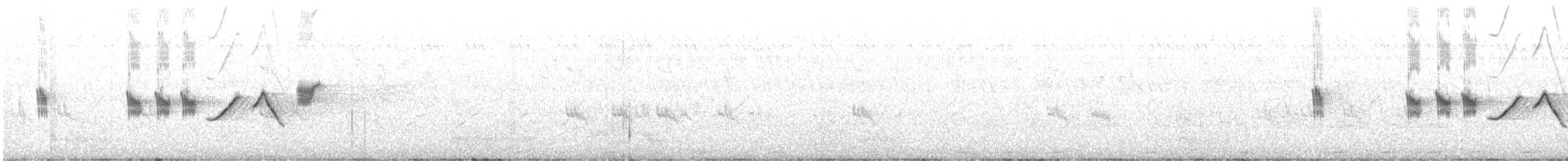 Tepeli Çinte - ML481358011