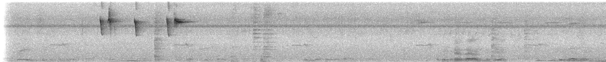 Alımlı Kolibri - ML48136021