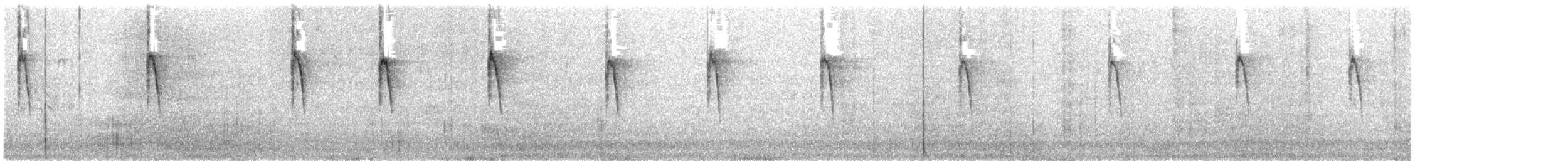 Cisticole des joncs - ML48139371