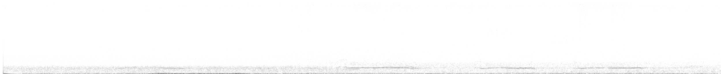 Сова сіра - ML481403401