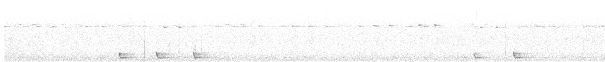 Langschwanz-Nachtschwalbe - ML481405981
