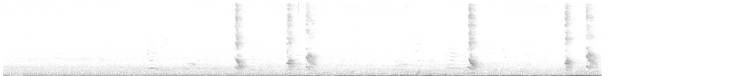 Taccola - ML481422971