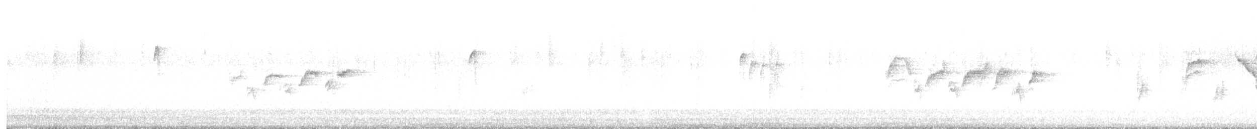 Bewick Çıtkuşu - ML481454061