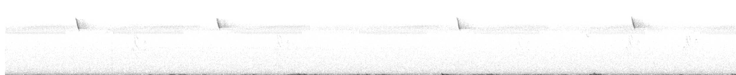 Bachman's Sparrow - ML481492241
