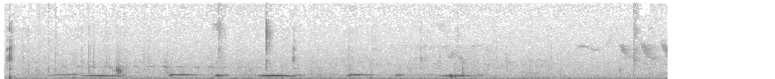 holub skvrnokřídlý - ML481505371