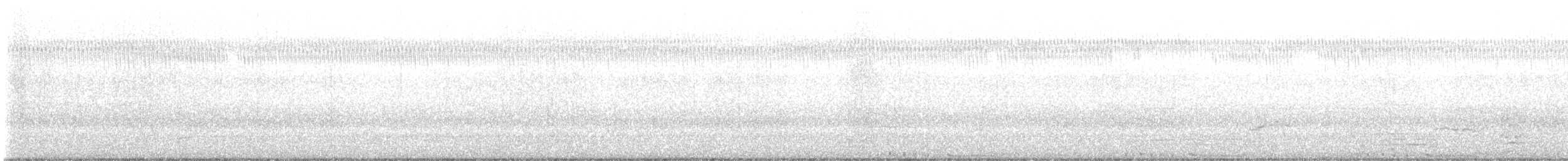 holub skalní (domácí) - ML481505651