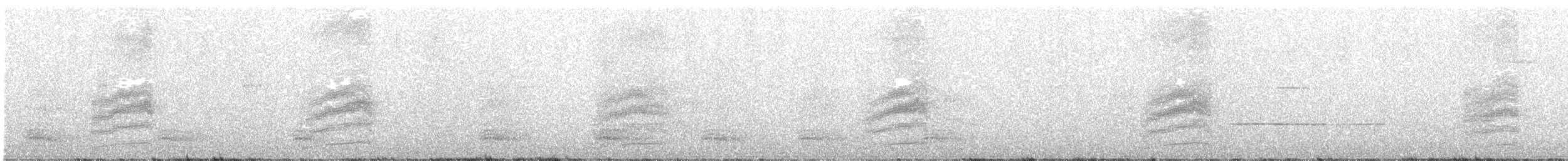 Spotted Towhee (oregonus Group) - ML481531131