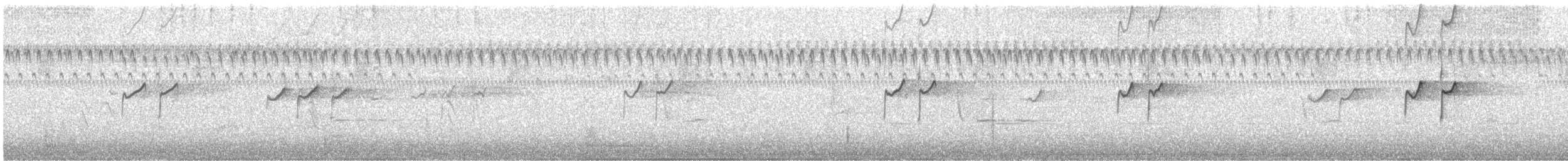 Einsiedelwasserläufer - ML481534611