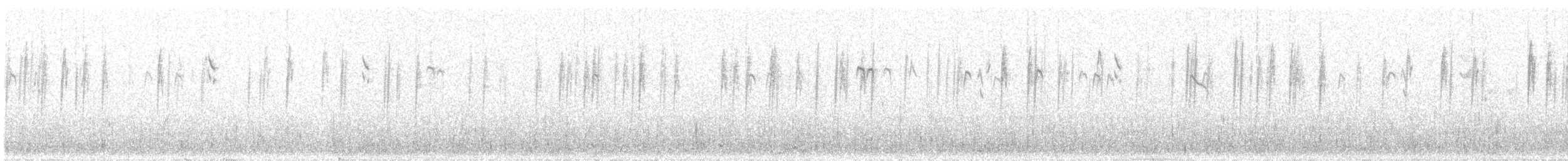 ヤブガラ - ML481546431