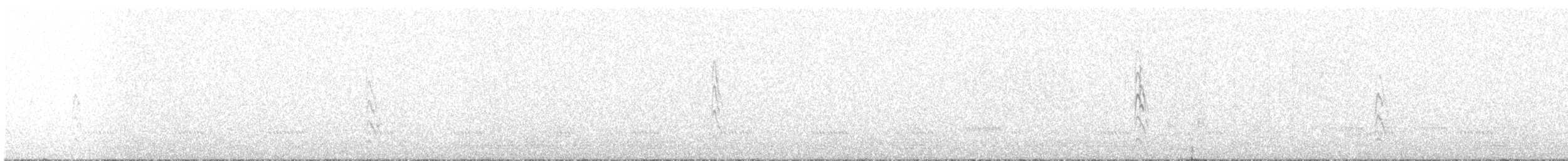 ムジトウヒチョウ - ML481546841