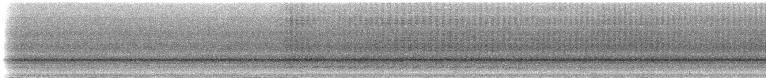 Кокоа строкатоплечий - ML48157301